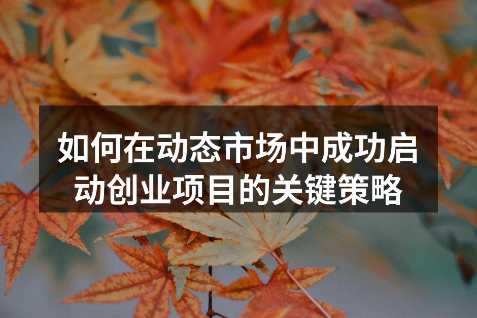 如何在动态市场中成功启动创业项目的关键策